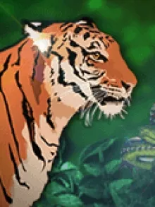 Jungle
