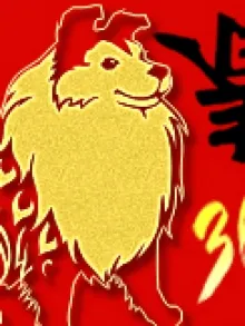 The Wishing Dog