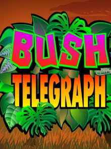 Bush Telegraph