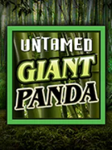Untamed - Giant Panda