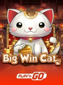 Big Win Cat