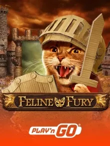 Feline Fury