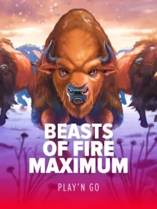 Beasts of Fire Maximum